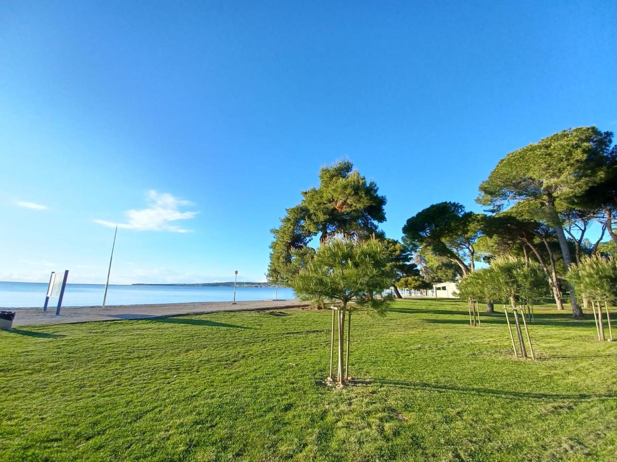Family Apartments Zadar - Ryanair Exclusive Eksteriør billede